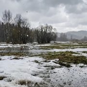 Пусть плачет дождь