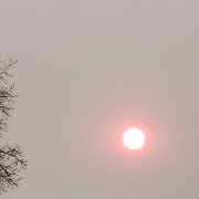 Стефан - Соната 29.1