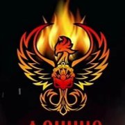 Phoenix - в сети с тобой