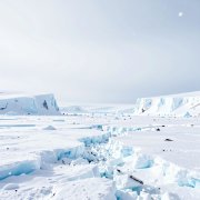 Стефан - Зимний Ветер