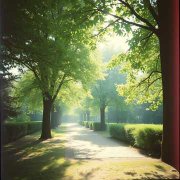 GurS - A walk in the park