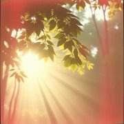 GurS - A ray of light