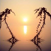 GurS - A gentle melody - фото