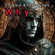 Enigma _ Why ( The Ognev remix)