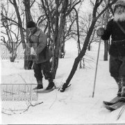 Дарья Ши - Тигриная смерть ( на стихи П. Комарова)