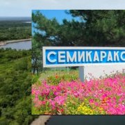 Klonik (Nikita) - Семикаракорск