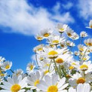 Андрей Семенов - Как хочется летом влюбляться