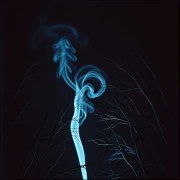 Полли и жабы - Октябрь