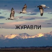 Журавли, мама (сл. и муз. Анны Отроковой)
