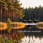 Андрей Харитонов - Орловское полесье