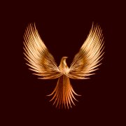 PAPIRUSS - Сюрприз