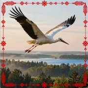 CDJ DIMA DONSKOI Feat. Pelageya Pesnyarova - Белыя Крылы