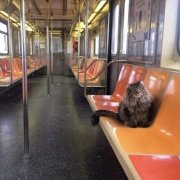 c3nt7r1nn - 62024003