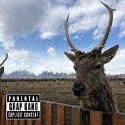 Agf-pain cult