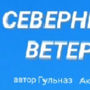 Гульназ Акманаева-Северный ветер