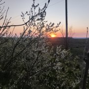 Бестия-Два лица в сердцах