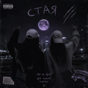 Tay Tay-стая