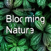 EnigmaBird - Blooming Nature