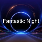 Андрей Кушнарёв - Fantastic Night - фото