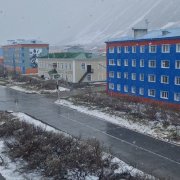 Лавр - пурга!!!