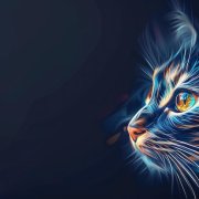 Вадим Гураль xXxЗачем