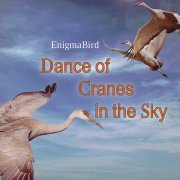 EnigmaBird - Dance of Cranes in the Sky