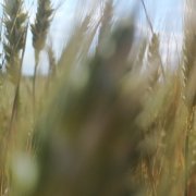 Роман Щукин - горд Омск мой