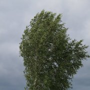 Л.Гулькина. Разговор по душам