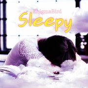 EnigmaBird - Sleepy