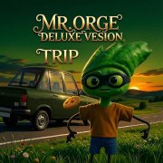 Mr.orge - trip 2.0