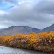 Лавр - Чукотская осень (дуэт).