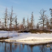 Весна (этюд C Major) Русаков Григорий - фото
