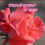 Счастье моё (сл. Ксения Пономарева)
