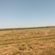 Просто Лера, Артём_Вильдан - Инопланитяне