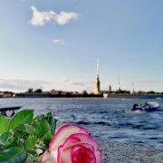 Кристина Янушъ - Моя сиятельная роза