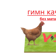 Wertyr-гимн качков(без мата)