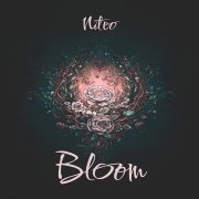 Niteo - Bloom