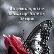 Юлия Авонаго — Визит счастья