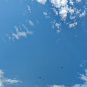 Денис Минович - Память