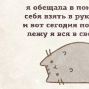 Tvoihit - понедельник (сл. ксения пономарева)
