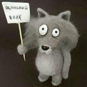 Nordbut - Не трогай волка...