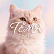 Смайл -Тёма