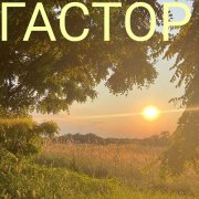 Гастор - Полюшко