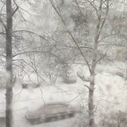 Вася -Свинцовое Небо