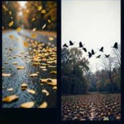 VasilakiyВячеслав-And the birds are heading south