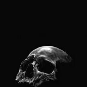 Tikwik-skeleton