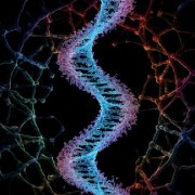 NearX - Эволюция вбок