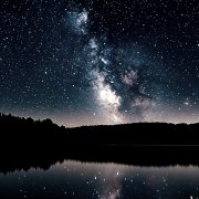 лавр - звёзды 