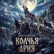Волчья ария - Бывает трек, как бред!