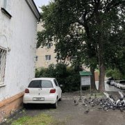 Белые лошадки